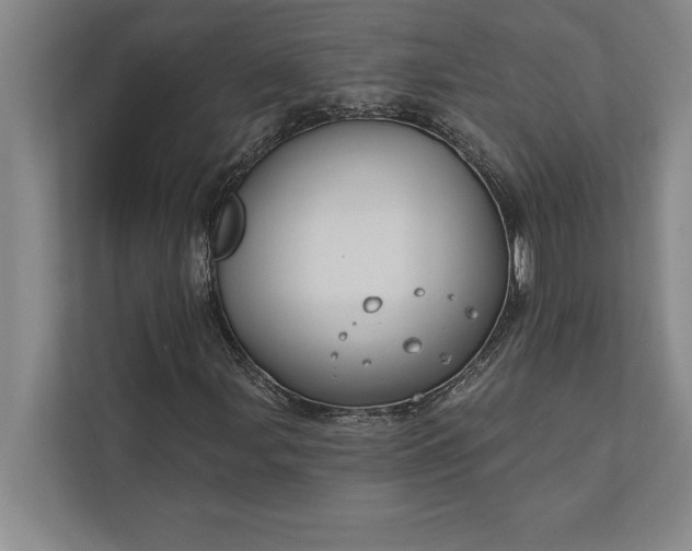 X0000112381107200908271313