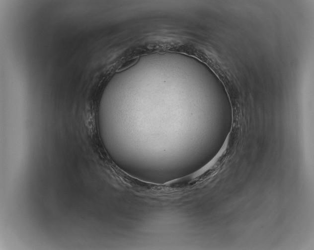 X0000112381109200908271313