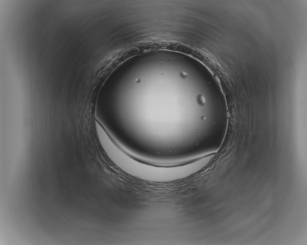 X0000112381110200908271313