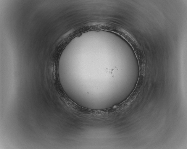 X0000112381111200908271313