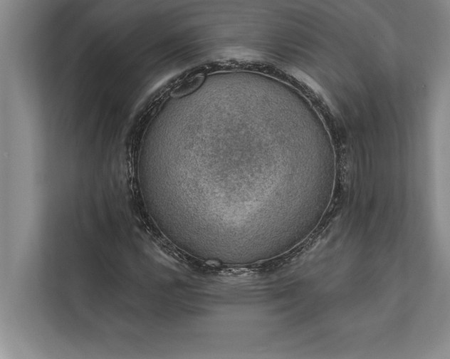 X0000112381112200908271313