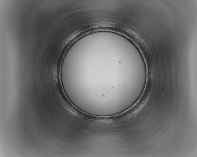 X0000112381113200908271313