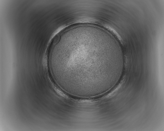 X0000112381114200908271313