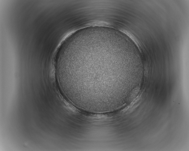 X0000112381115200908271313