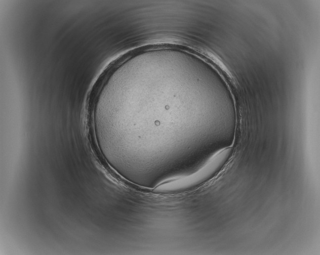 X0000112381116200908271313