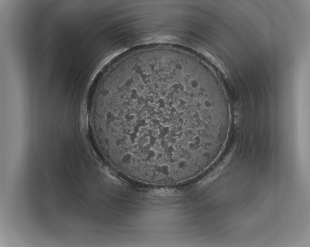 X0000112381117200908271313