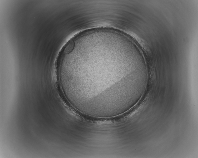 X0000112381118200908271313