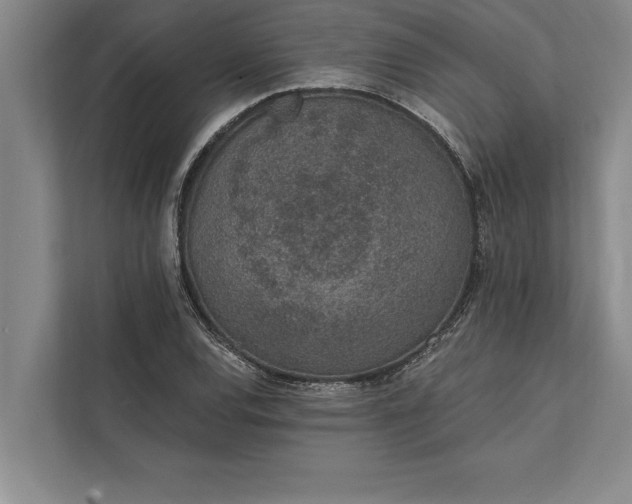 X0000112381120200908271313