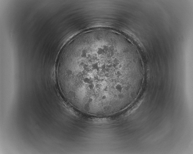 X0000112381121200908271313