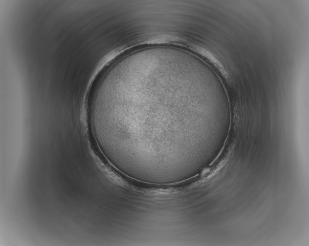 X0000112381122200908271313