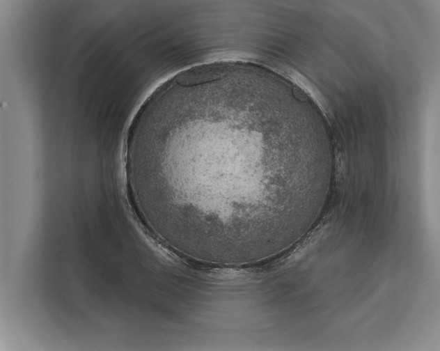 X0000112381124200908271314