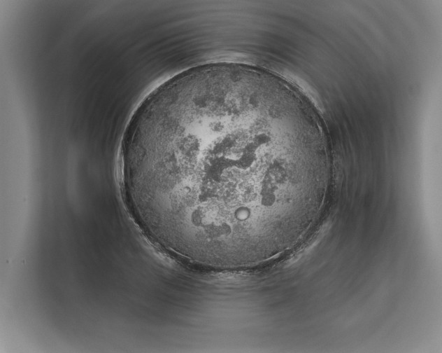 X0000112381125200908271314