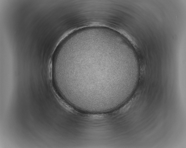 X0000112381126200908271314