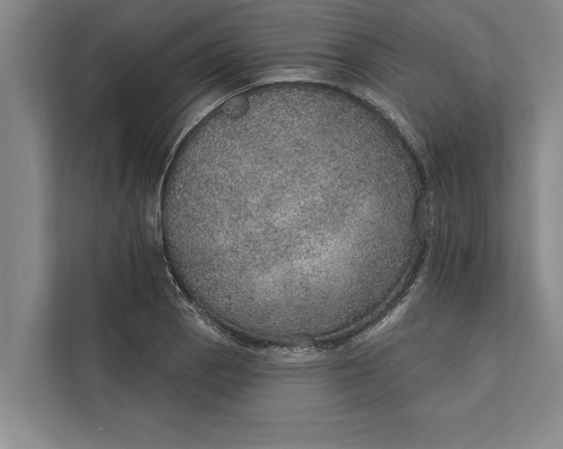 X0000112381129200908271314