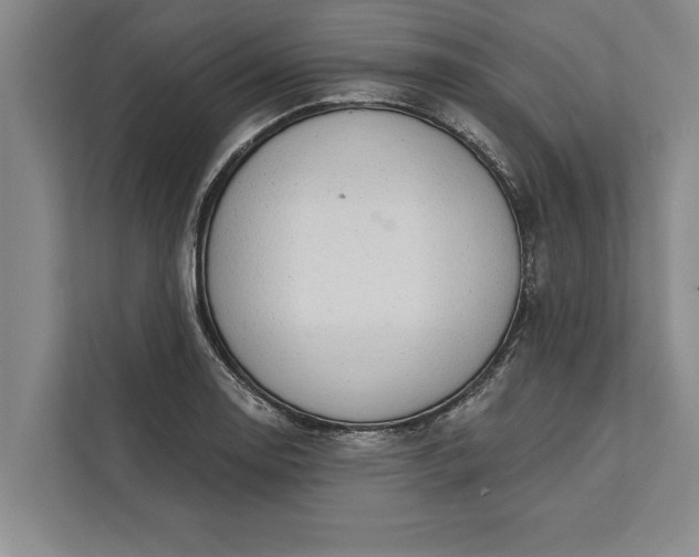 X0000112381130200908271314