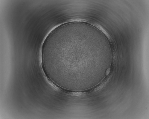 X0000112381132200908271314