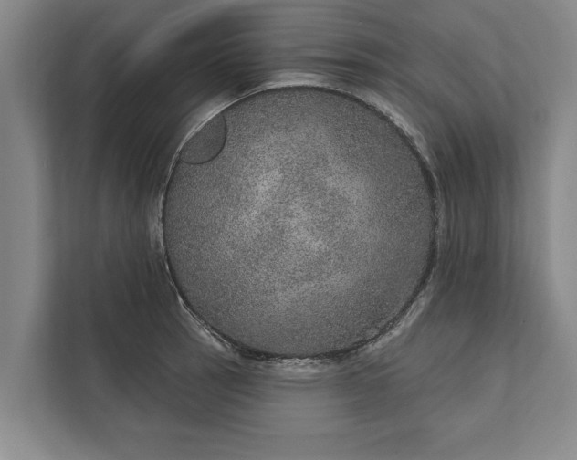 X0000112381137200908271314