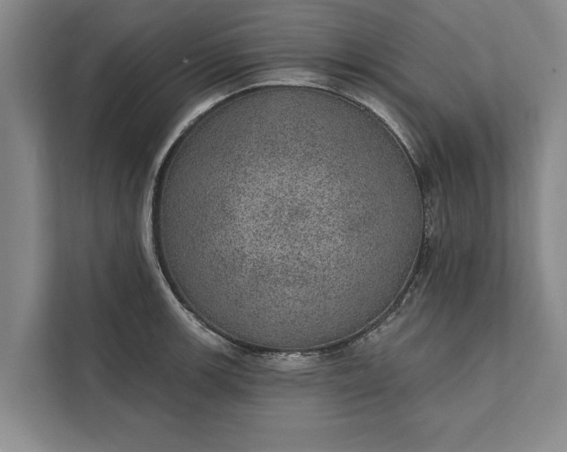 X0000112381139200908271314