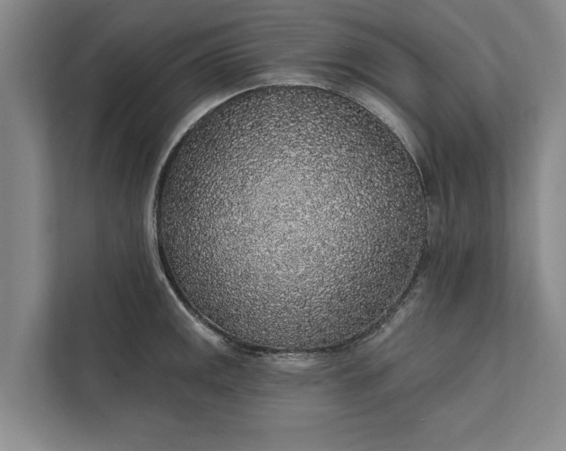 X0000112381141200908271314