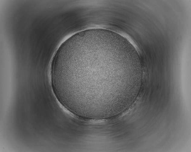 X0000112381143200908271314