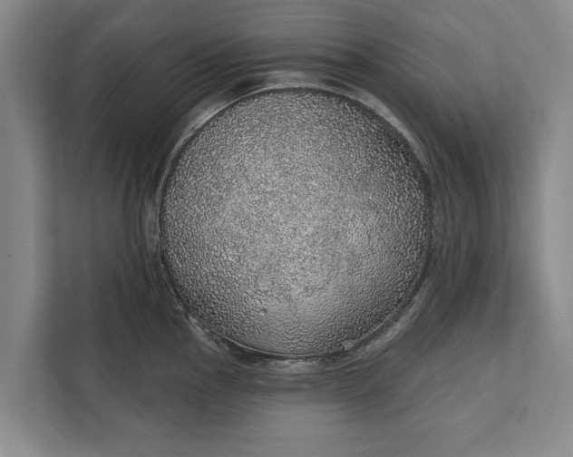 X0000112381145200908271314