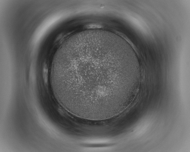 X0000112381151200908271314