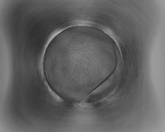 X0000112381152200908271314