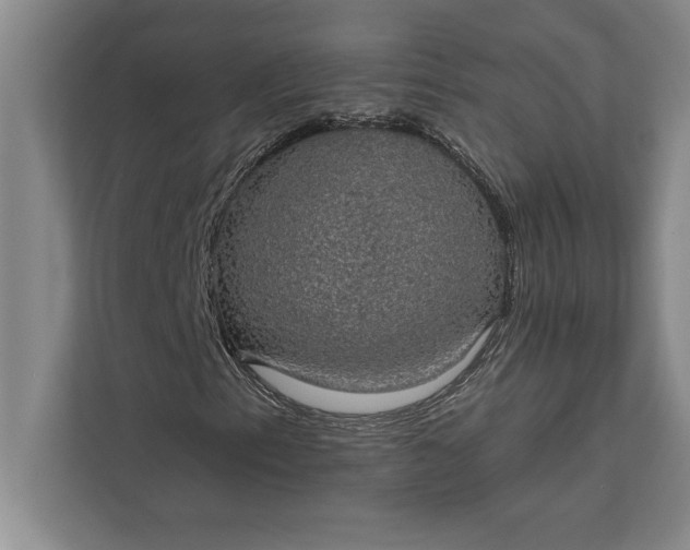 X0000112381153200908271313