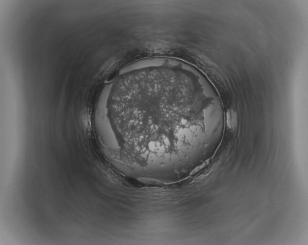 X0000112381155200908271313