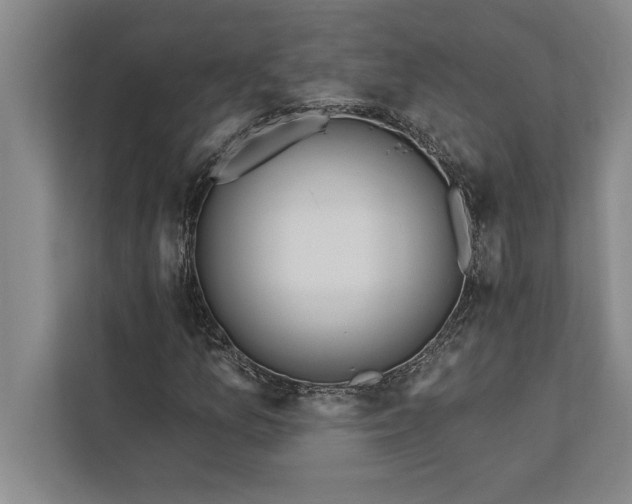 X0000112381157200908271313