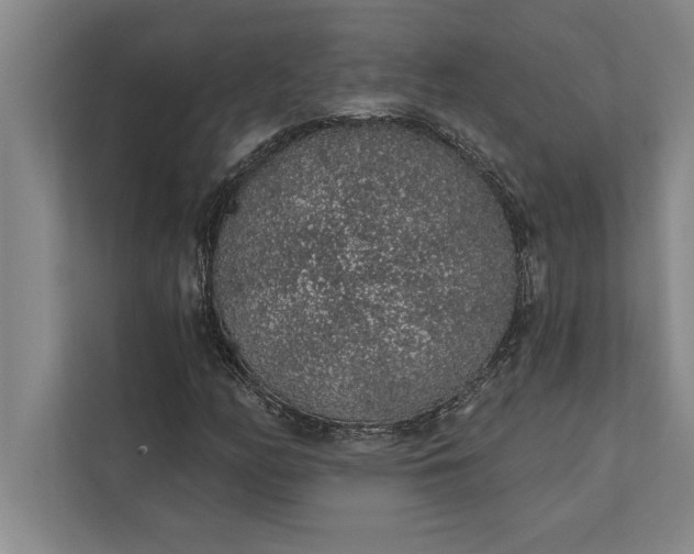 X0000112381158200908271313