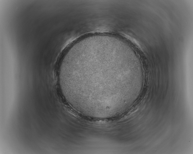 X0000112381160200908271313