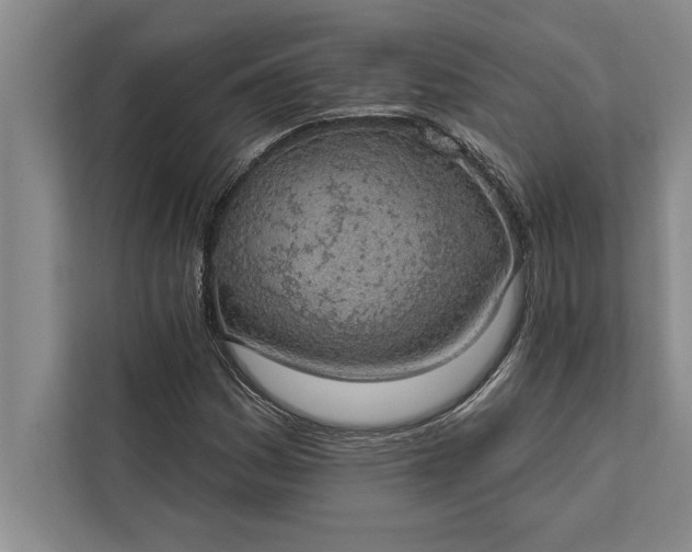 X0000112381161200908271313