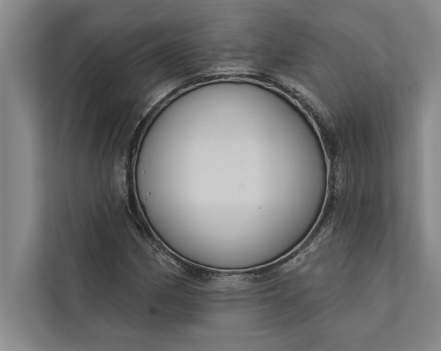 X0000112381162200908271313