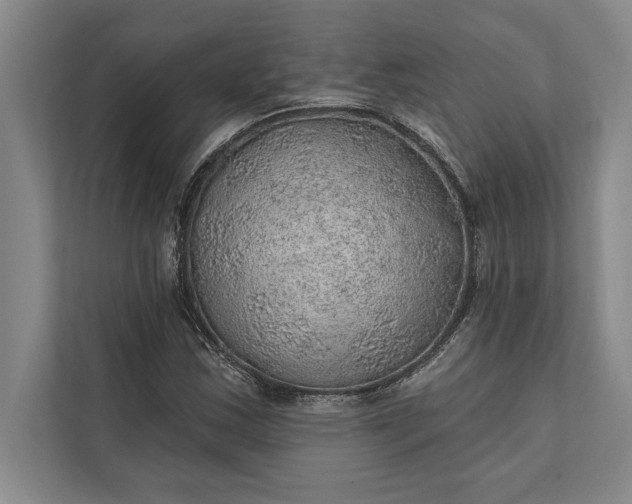 X0000112381163200908271313