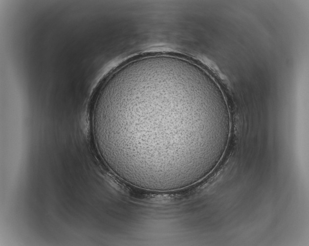 X0000112381167200908271313