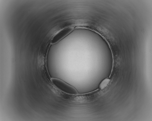 X0000112381169200908271313