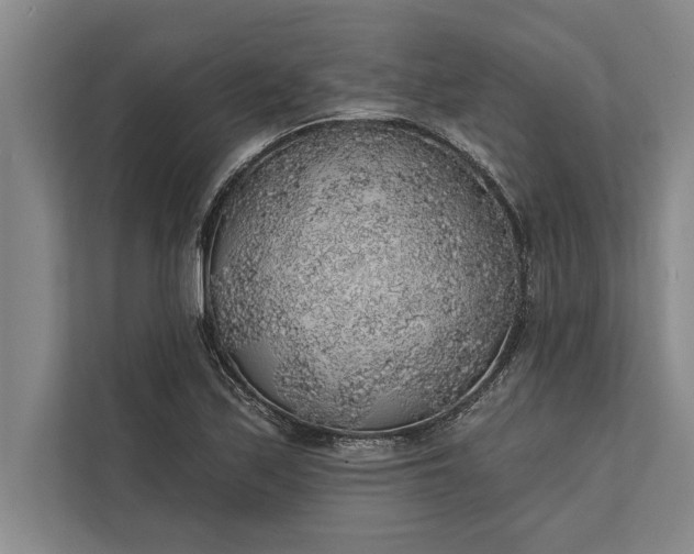 X0000112381171200908271313