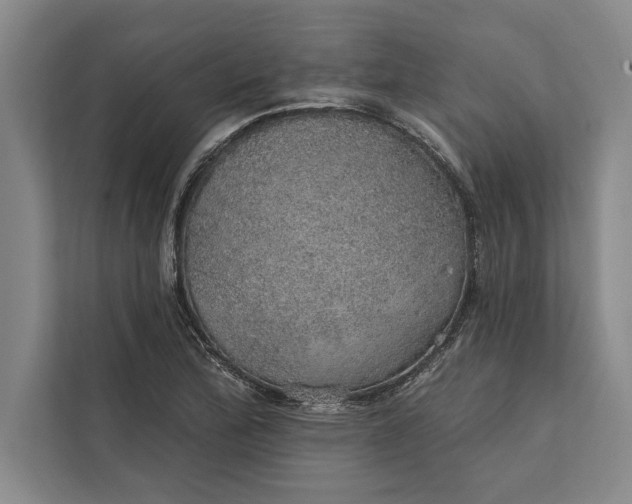 X0000112381172200908271313