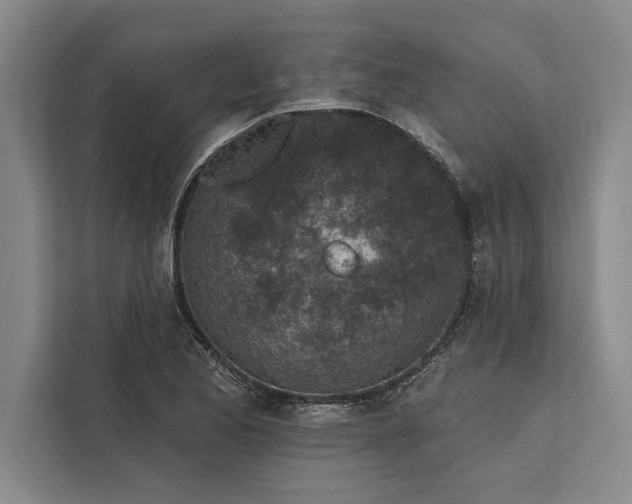 X0000112381173200908271313