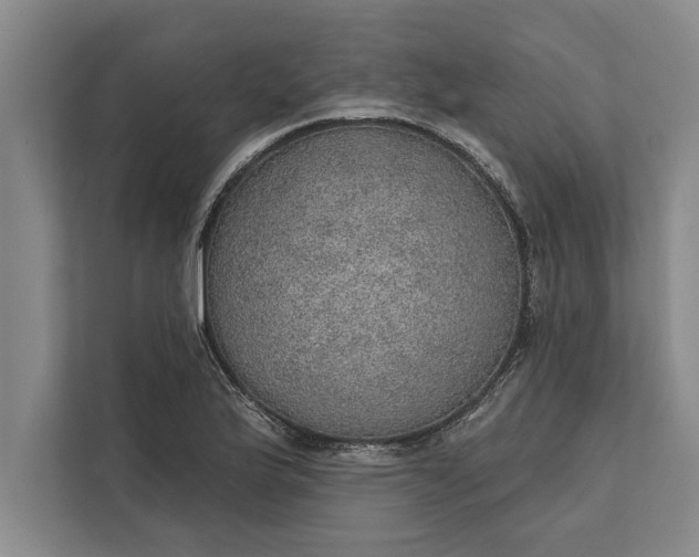 X0000112381175200908271313