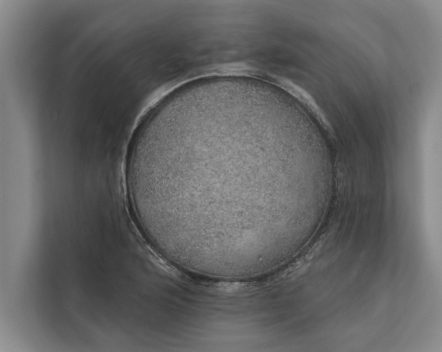 X0000112381176200908271313