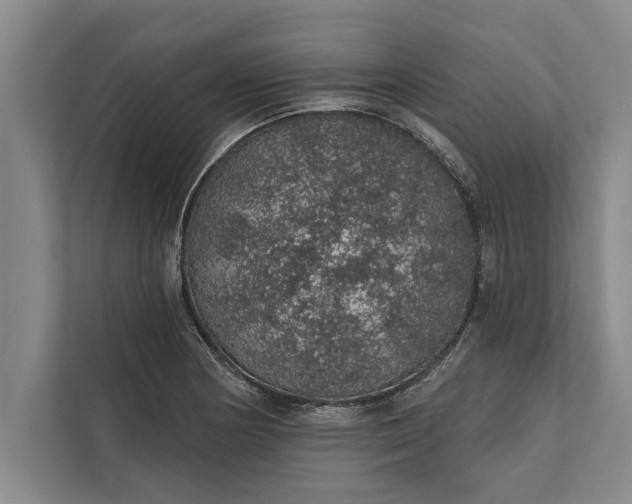 X0000112381178200908271313