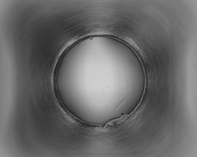 X0000112381181200908271313