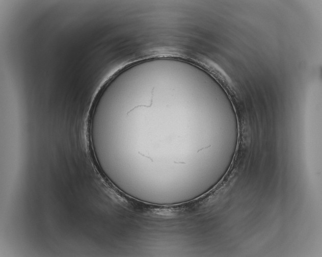 X0000112381182200908271313