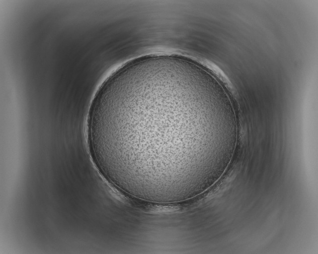 X0000112381183200908271313