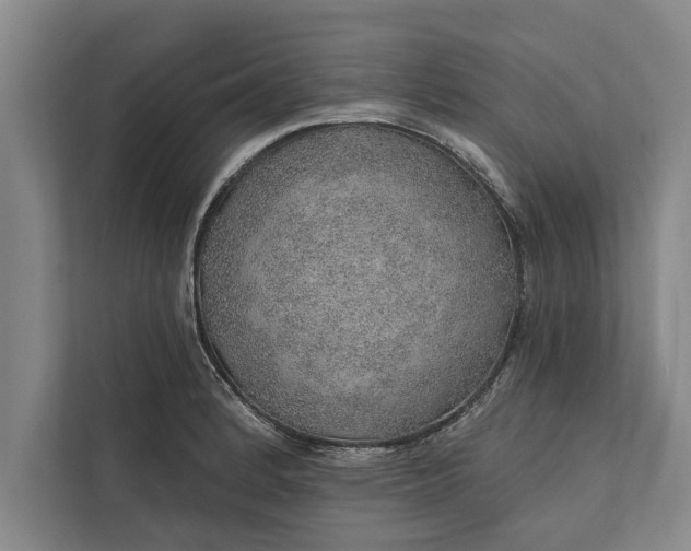 X0000112381184200908271313