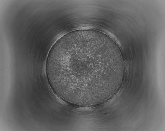 X0000112381186200908271313