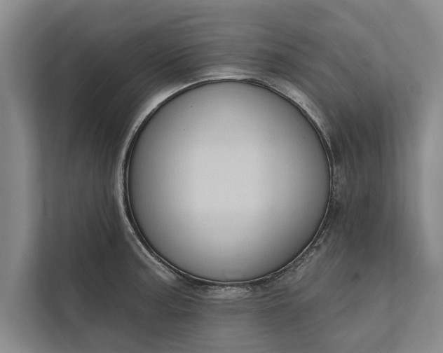 X0000112381187200908271313