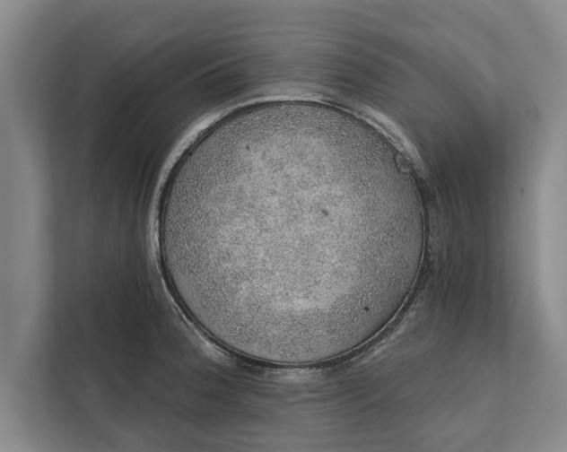 X0000112381188200908271313